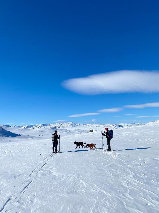 Hyggelig Leilighet I Sentrum Hemsedal Exterior foto