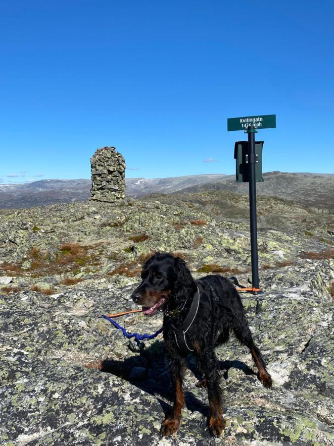 Hyggelig Leilighet I Sentrum Hemsedal Exterior foto