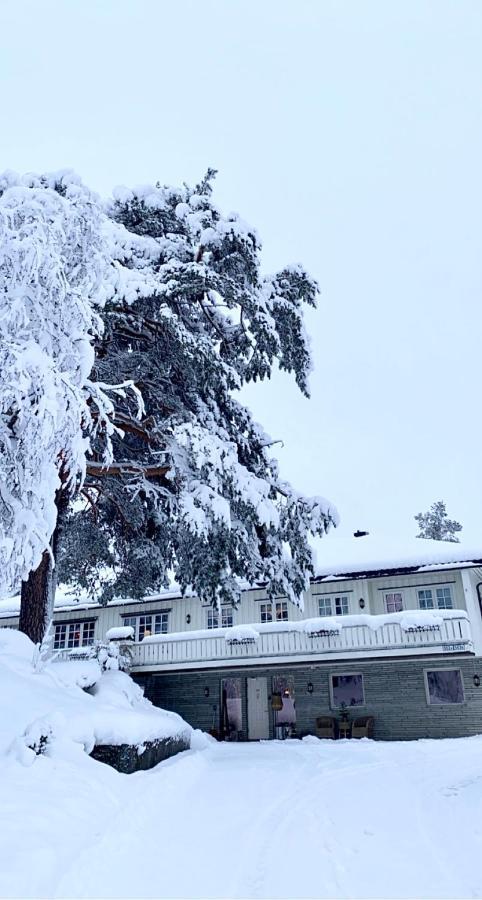 Hyggelig Leilighet I Sentrum Hemsedal Exterior foto