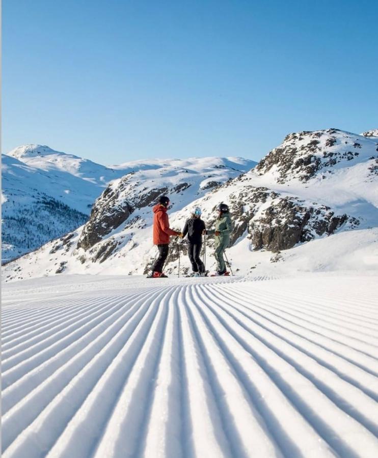 Hyggelig Leilighet I Sentrum Hemsedal Exterior foto
