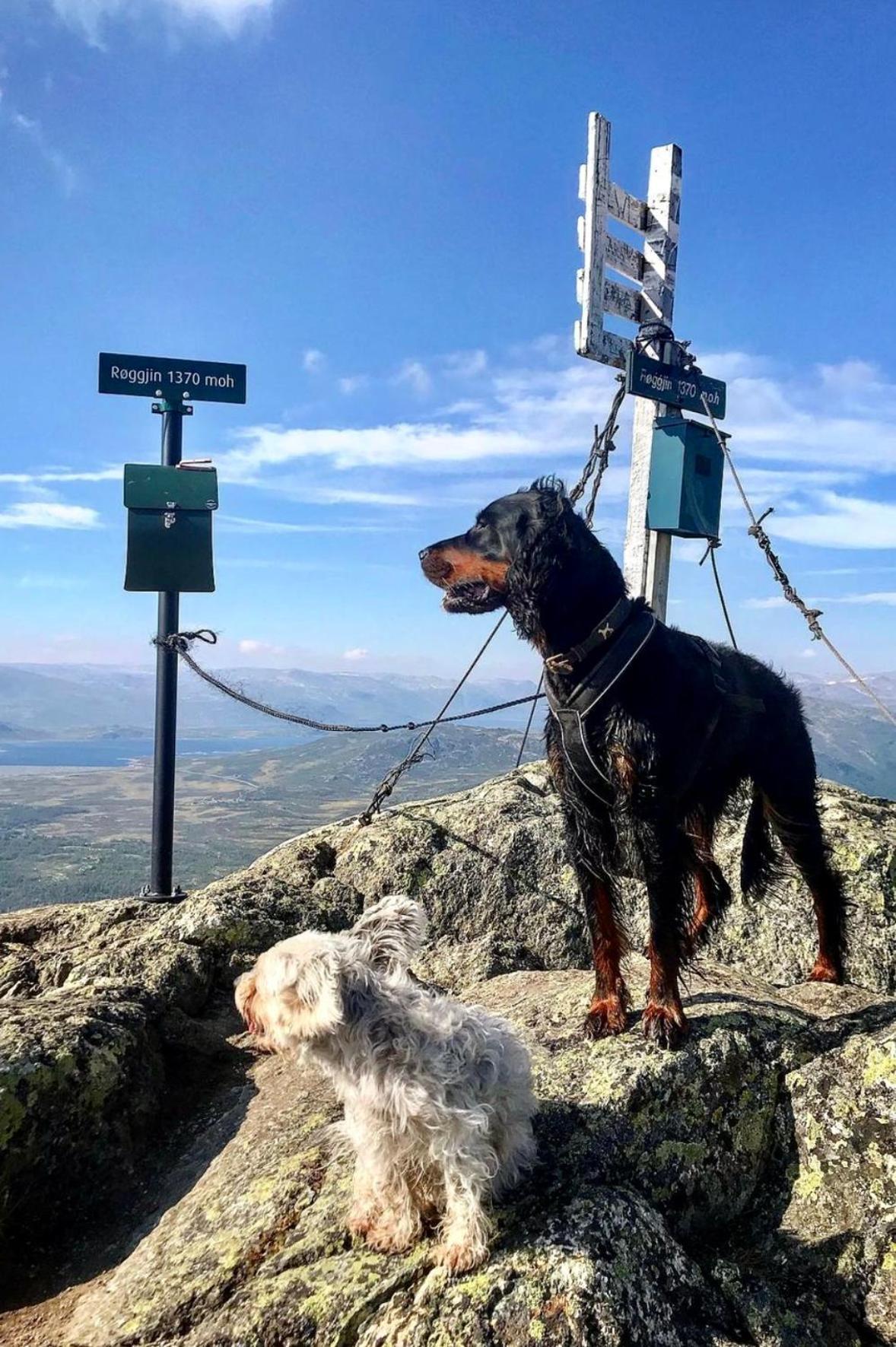 Hyggelig Leilighet I Sentrum Hemsedal Exterior foto